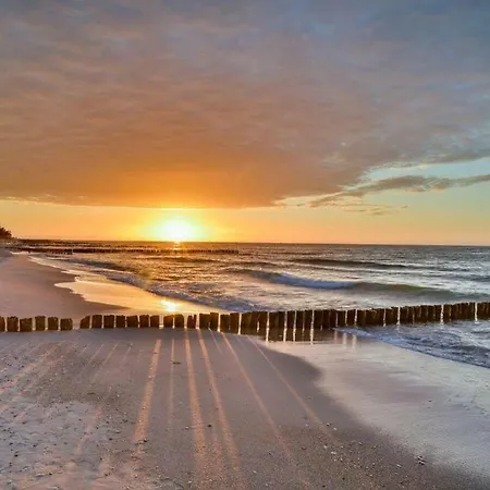 Siesta-family * 코워브제크