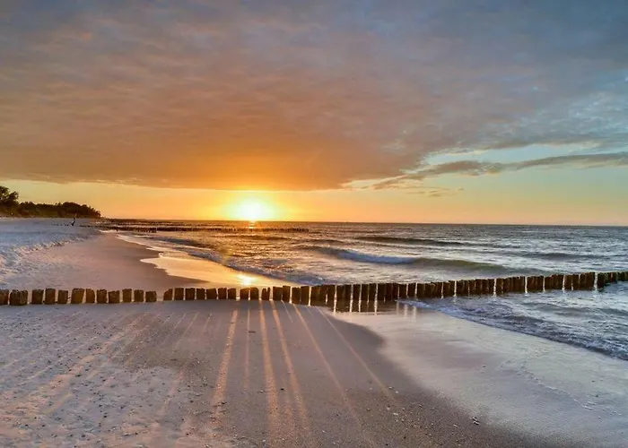 Siesta-family * 科沃布热格